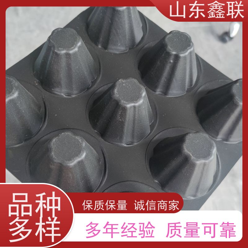 H20厚塑料排水板 高强度白色按需生产 品牌 鑫联新