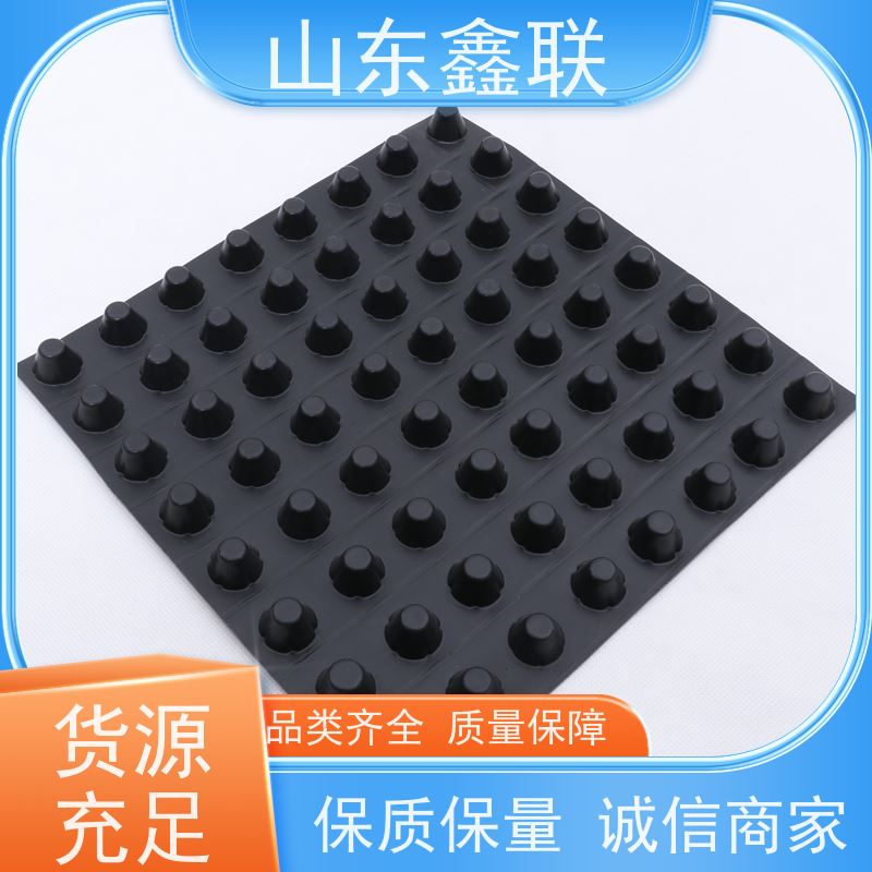 鑫联新 耐腐蚀塑料疏水板 车库顶板滤水板 规格8mm-60mm