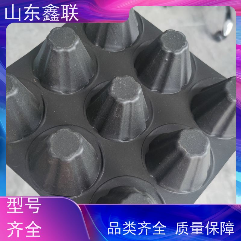 hdpe聚乙烯排水板 车库顶板绿化塑料蓄水板 抗压抗折