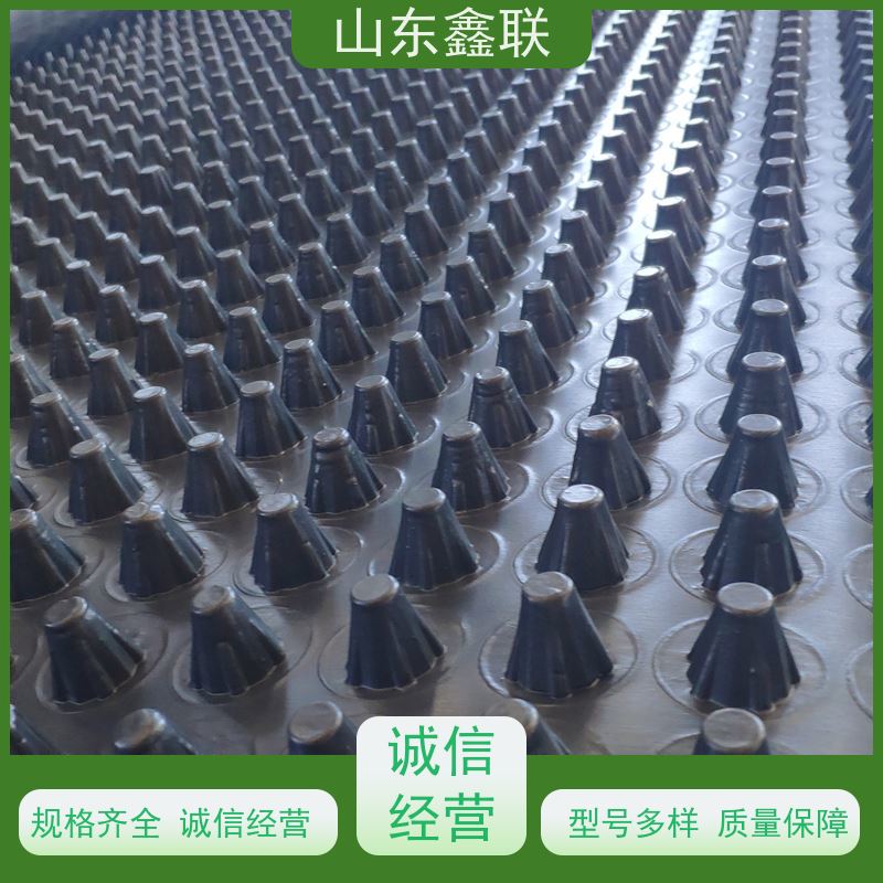凸片排水板 塑料透水疏水板排蓄水板 防水性能好