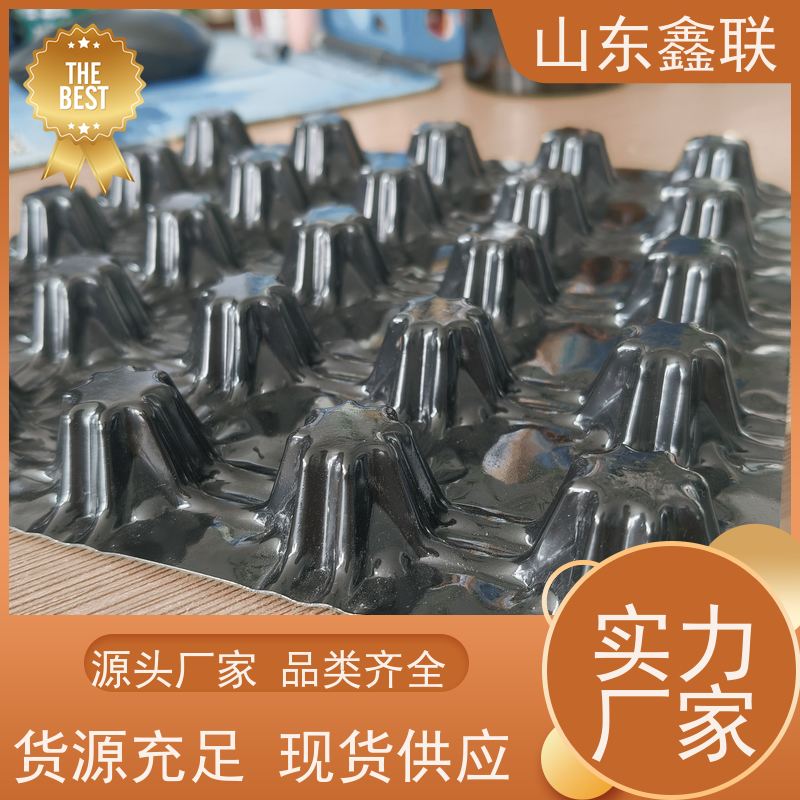 鑫联新材料 滤水板 网状交织塑料排水层 设计定制 经济实用