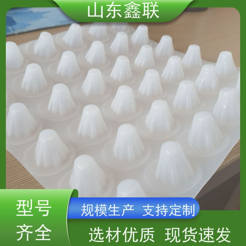 高密度聚乙烯凸片排水板 鑫联新新 防辐射塑料板 经久实用工程用