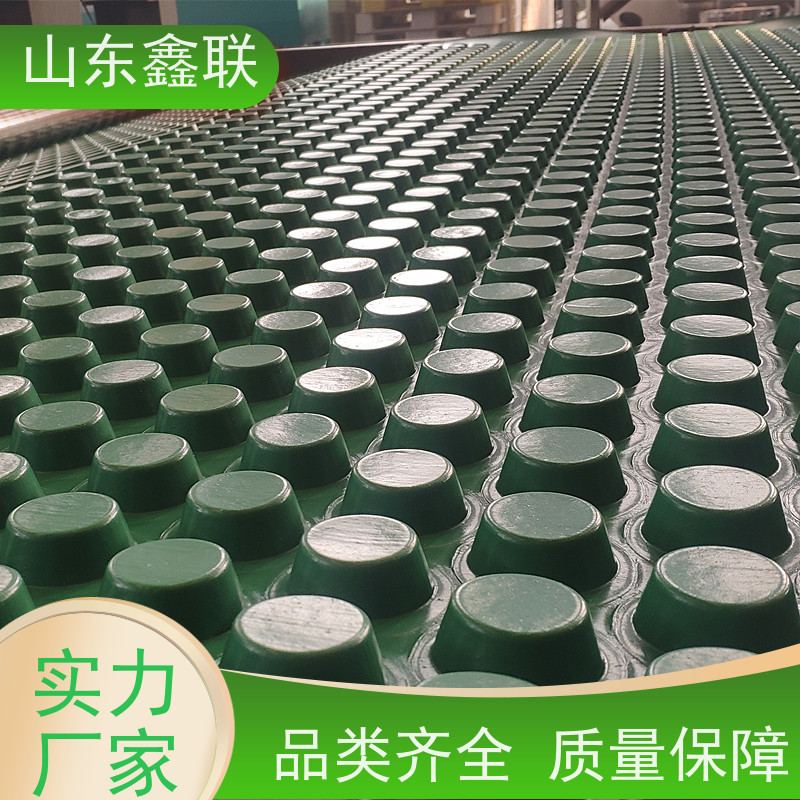 鹤 岗 2公分蜂窝型塑料保水排水格片正确用法 鑫联新新供应生产