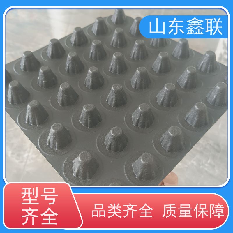 国标高密度聚乙烯HDPE排水板 小区车库 蓄水疏水板 承接工程