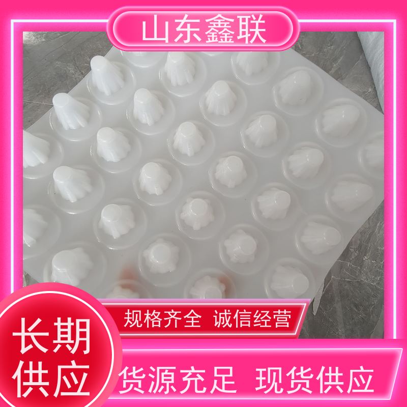 hdpe疏水板 地下车库排蓄水板 蓄排水板土工布