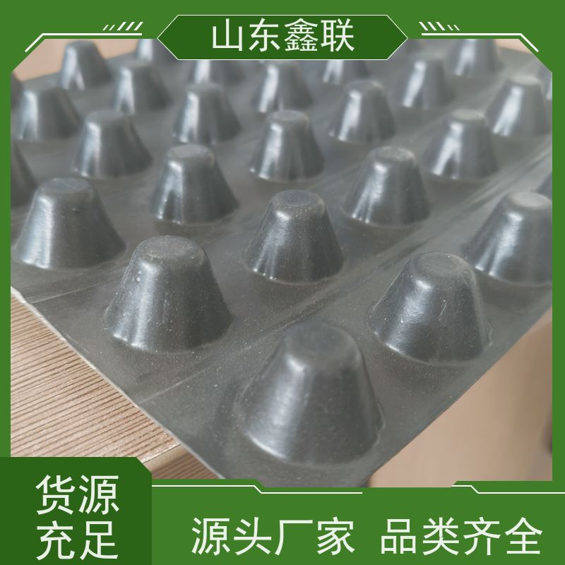 高密度聚乙烯排水板厂家 抗压强度高 阻根滤水板