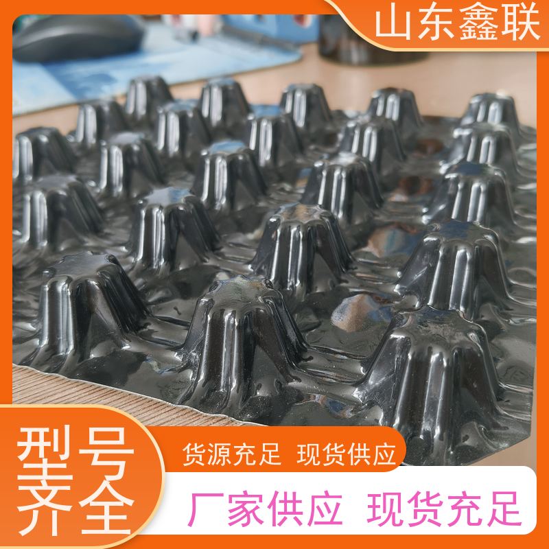 鑫联 2.5cm加筋型排水板 地下室底板车库顶板楼顶绿化塑料夹层板