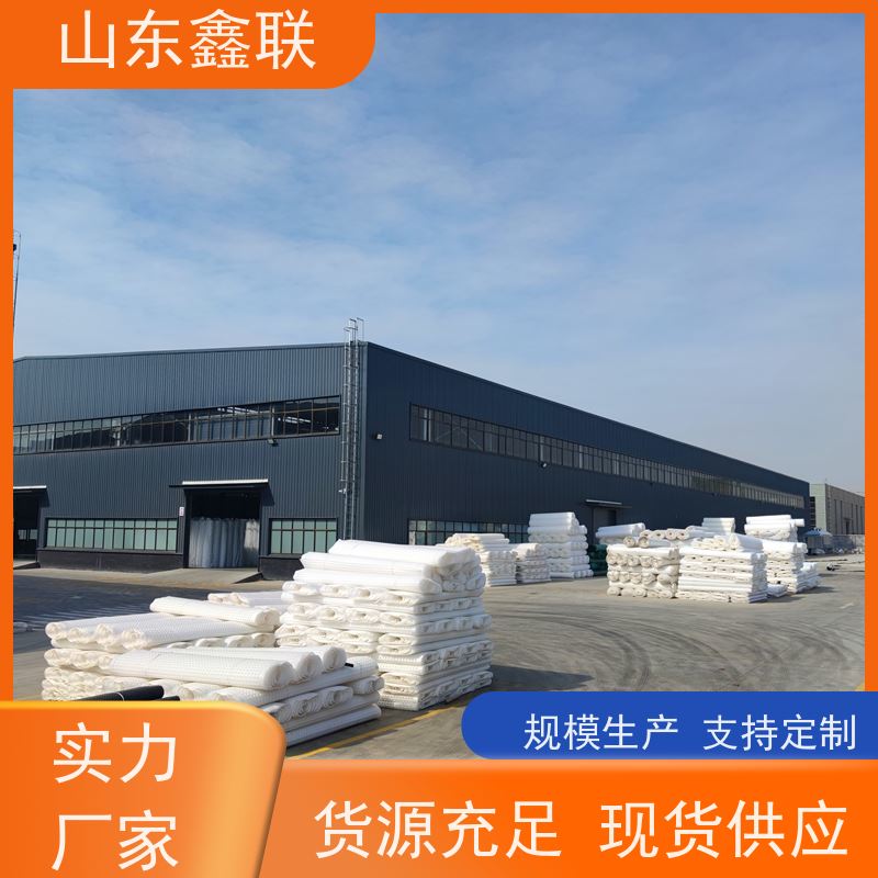 屋顶花园用塑料鑫联新 2公分3公分黑色片材500*500疏水板 唐 山