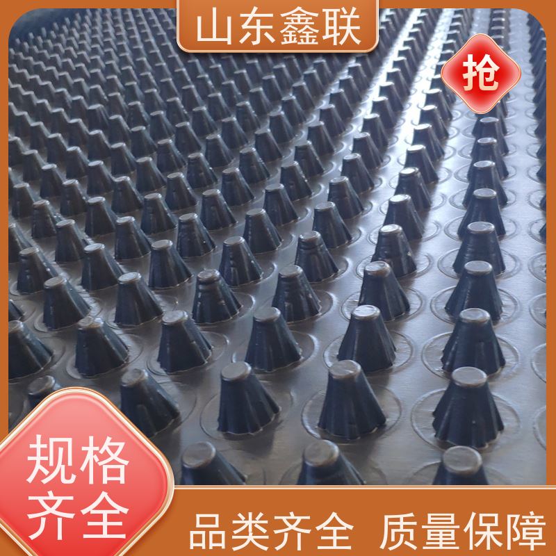 临 沧塑料排水板 地下室底板 HDPE塑 料防护凹凸蓄排板