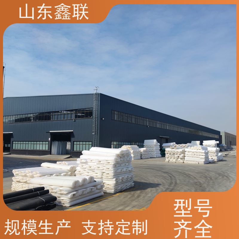 厂家发货 H30黑色加筋型排水板公路路基隧道可用