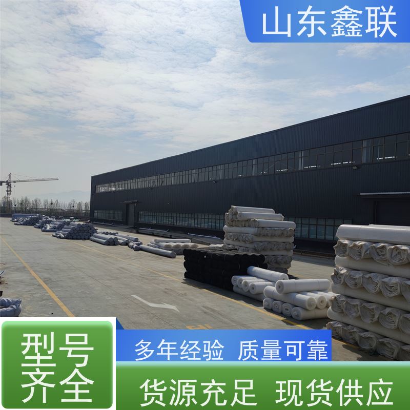 虹吸排水板 HDPE车库顶板土工布排水系统城市复合防护塑料蓄排板