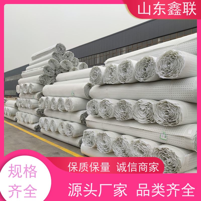 排水板塑料蓄屋顶绿化楼顶花园阻根防排水板滤水板高强度导疏水板