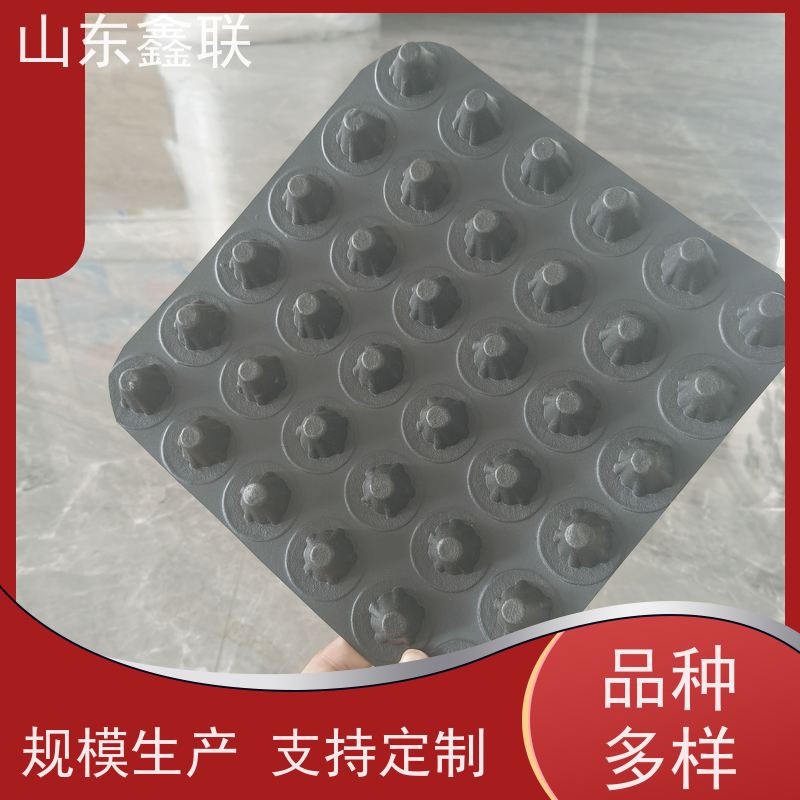 50*50块状蓄水板适用于车库顶板屋顶花园 阻根卷材疏水板