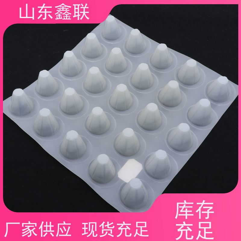 虹吸hdpe疏水板 道路绿化 水利工程防渗 网状交织复合排水板