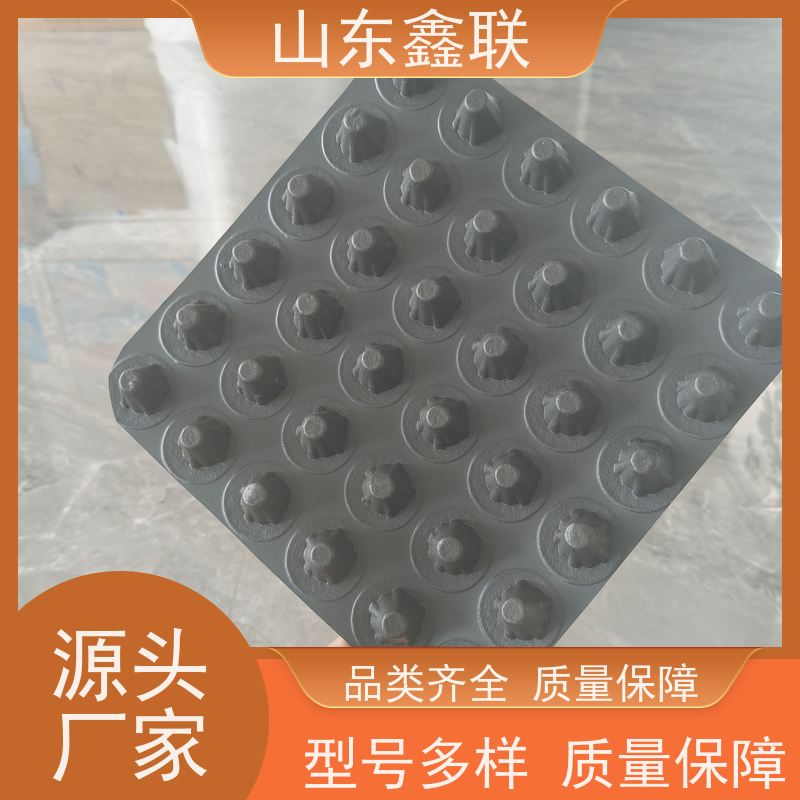 固态蓄水模块及 高密度聚乙烯防排保护板 海绵城市 开孔边石