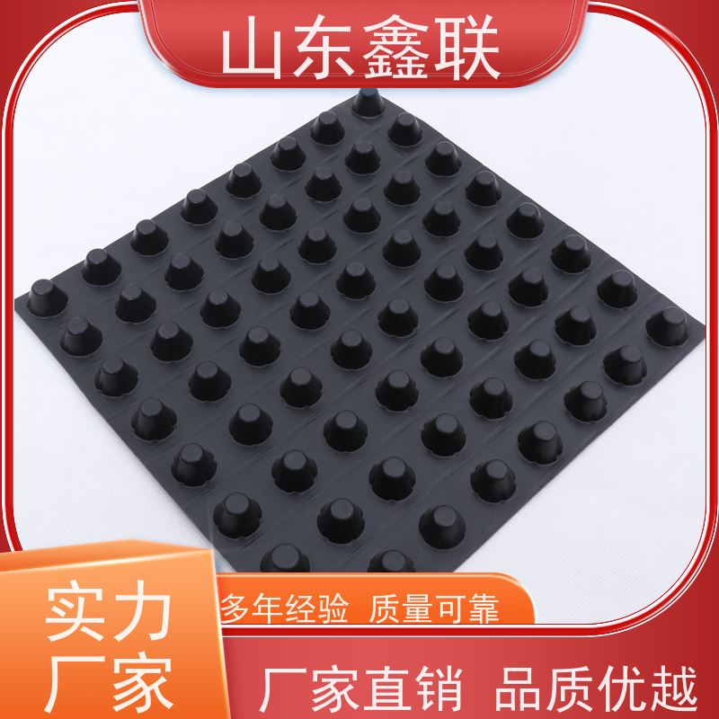 城市虹吸排水系统 凸高20mm塑料排水板 白色聚乙烯疏水板