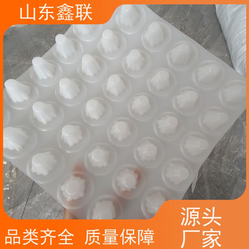 鑫联新 高密度聚乙烯 块状 蓄水 多用于屋顶绿化和室内种植
