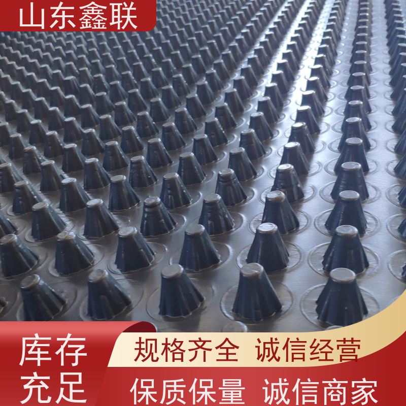 地下车库顶板塑料防排水板 凸高25PVC透水板 HDPE导水板鑫联新
