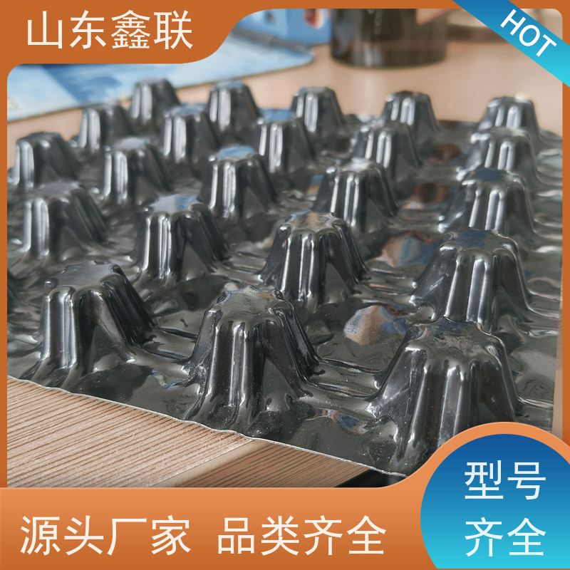 虹吸滤水板定制 凹凸塑料排水板 10年实力厂家 免费邮递样品