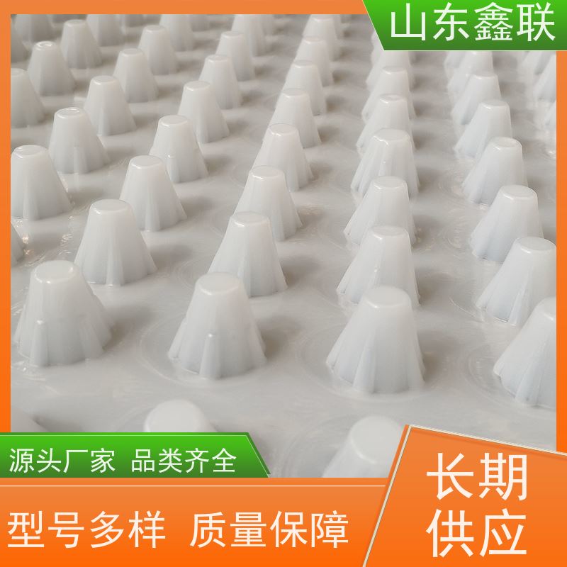 HDPE塑料排水板 2厚20高PE凹凸型排（蓄）水板厂家