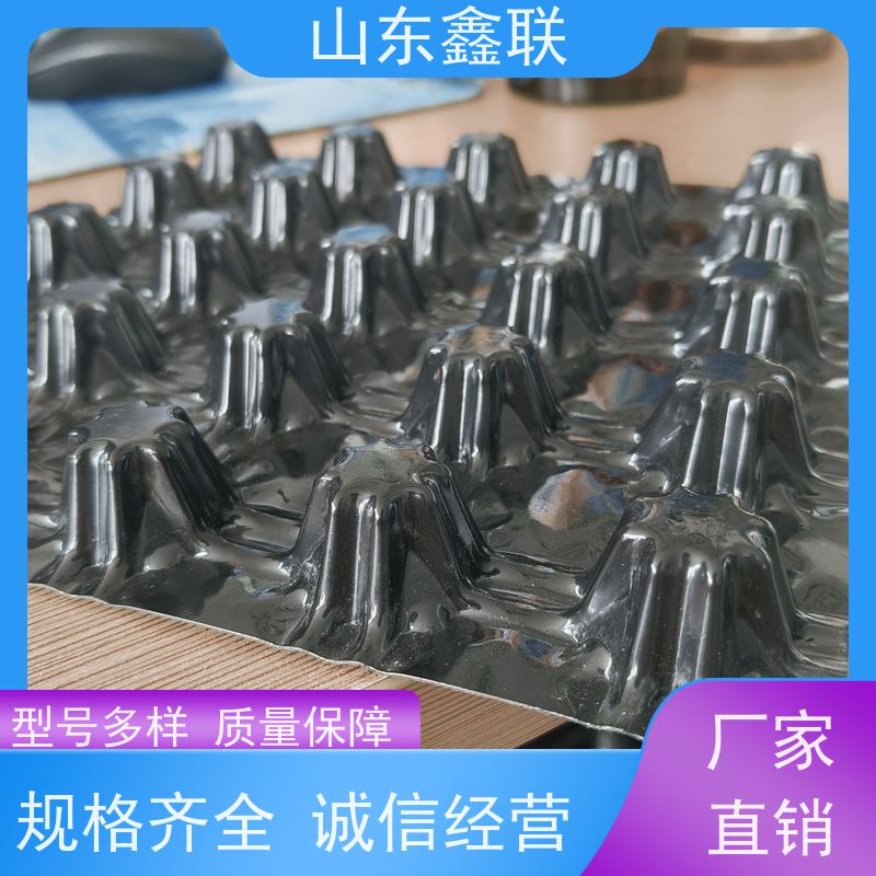 鑫 联新 建筑工程HDPE高密度聚乙烯车库疏水板 现货直发