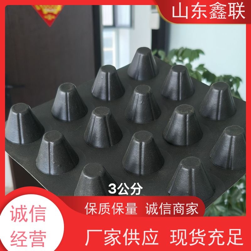 HDPE双面疏水板 鑫联新塑料凹凸毛细虹吸排水板