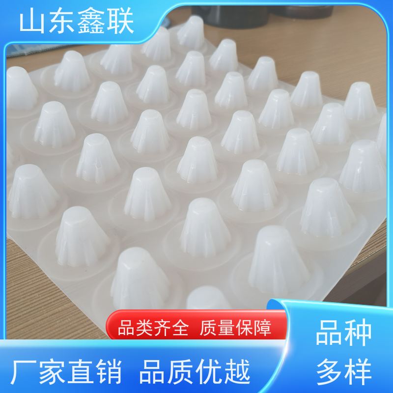 鑫联新新 塑料凸片网状交织排水板辅助防水 屋顶花园绿化隔水板