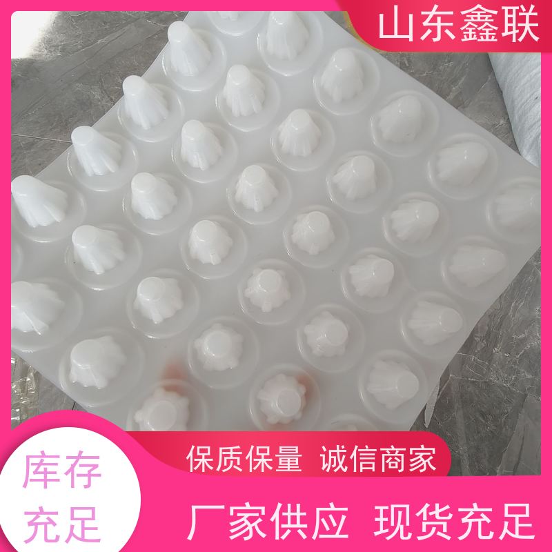 鑫联 小区绿化鑫联新 H25 H30 H50疏水板 节约水肥料