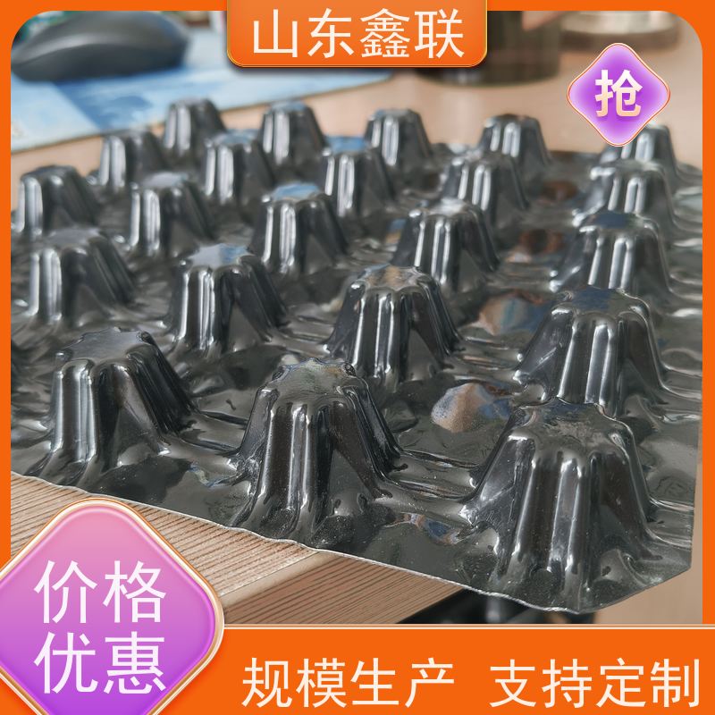 鑫联新3公分高车库顶板用塑料排水板 种植屋面防渗导水排蓄水板