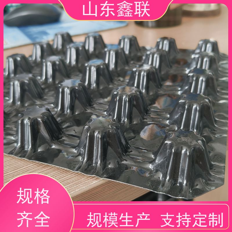 塑料鑫联新 网状交织绿化HDPE疏水板 凹凸片材排水板