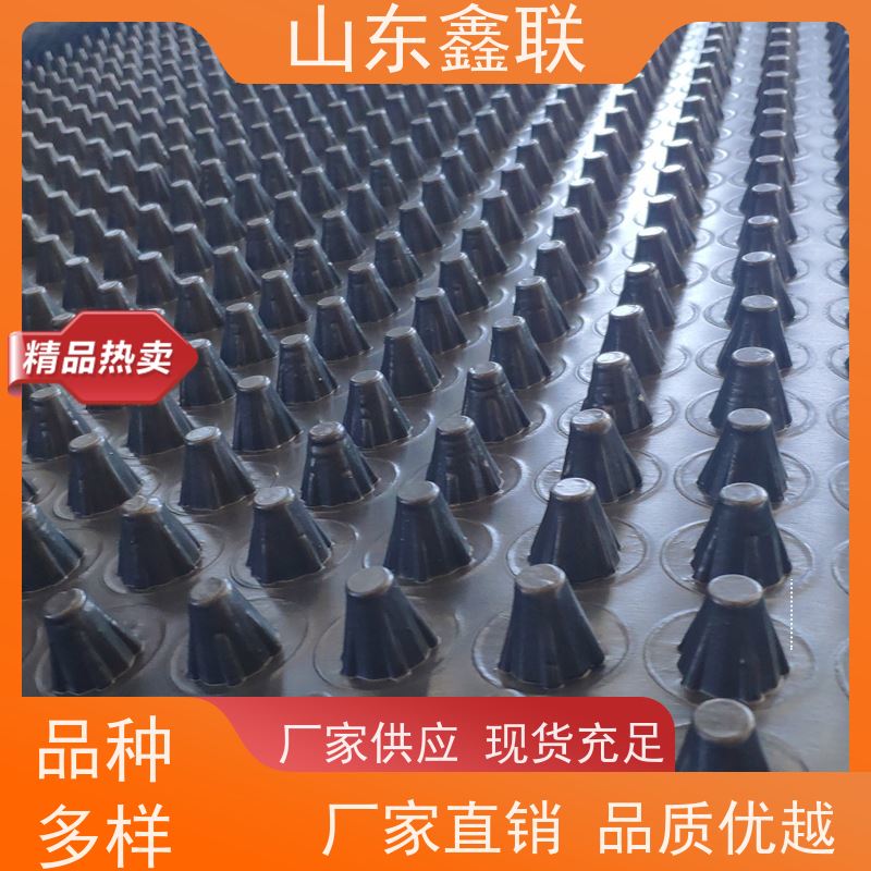 凸高2.0cm 支持定制 塑料排水板 市政绿化 鑫联新土工