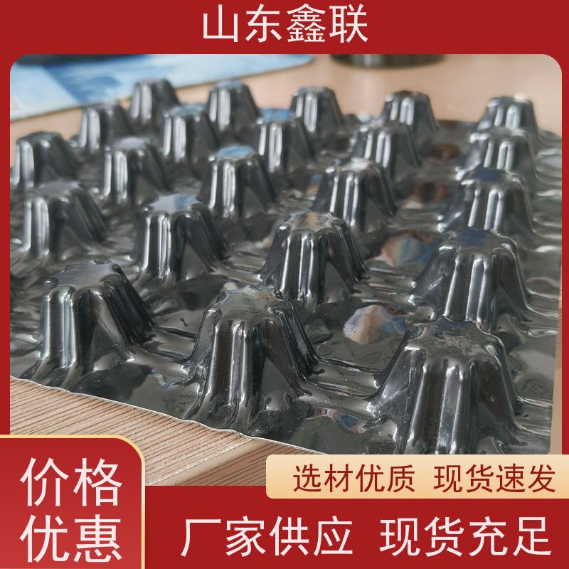 塑料排水板8mm厚 水利工程疏水板 防护滤水异形片