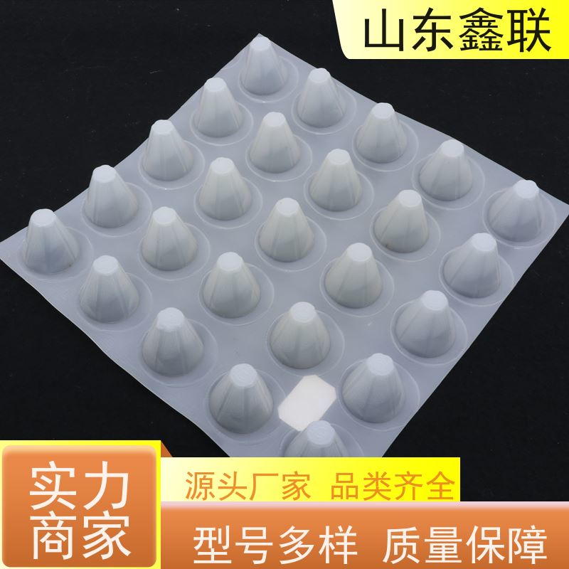 塑料夹层板 建筑工地PVC耐根穿刺用凸片排水板 耐腐蚀盈岳