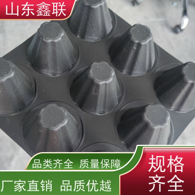 20厚高塑料排水凸片直发 屋顶绿化工程排水板 鑫联新供应