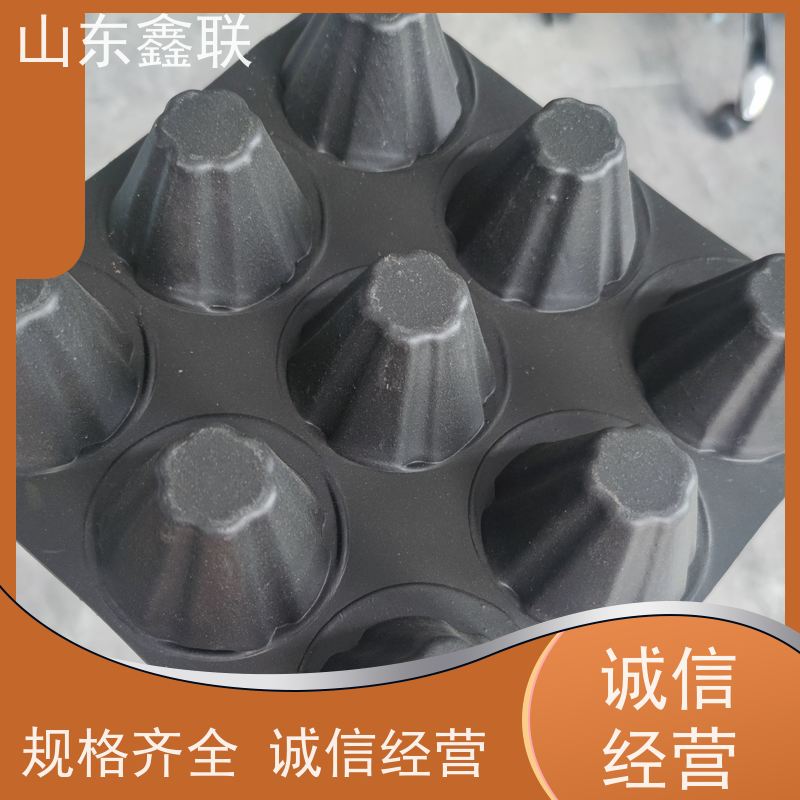 HDPE塑料排水板凹凸地下室车库屋顶绿化楼顶阻根蓄水滤水板 盈岳