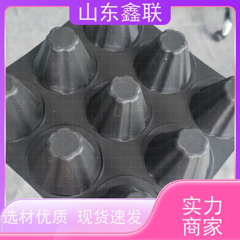 鑫联新车库排水板 高强度聚乙烯塑料疏水板良好防水防潮抗压强