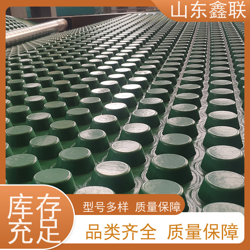 江 西排水板 隔离效果好 高密度聚乙烯排疏水板 种植阻根滤水