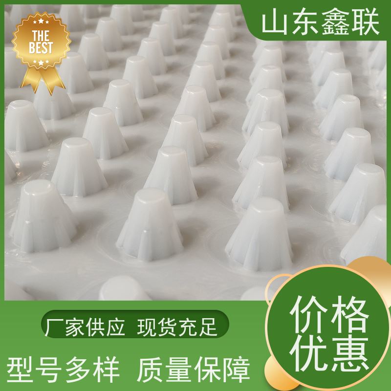 白色 凹凸塑料卷材排水板 片材蓄水板 土工布无纺 布