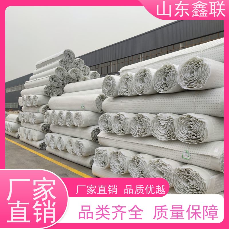 塑料凹凸型排水板 疏水保护蓄水板 20厚高密度聚乙烯疏水板厂家