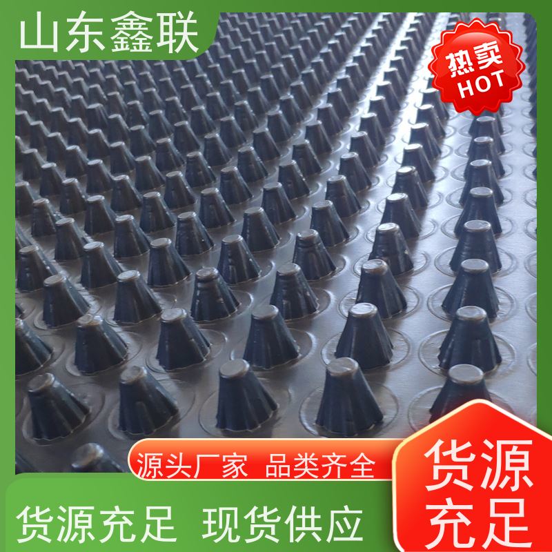 德 州厂家直供塑料凹凸型排鑫联新H25导水用阻根板 hdpe材质疏水板