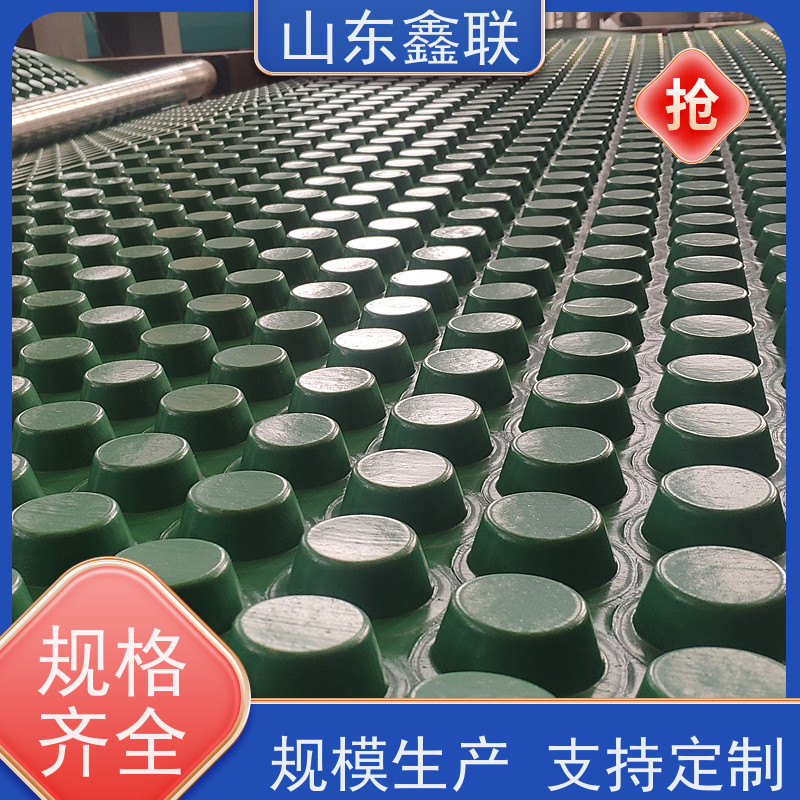 高密度聚乙烯车库滤水板导水性抗压强度高塑料凹凸型排水板