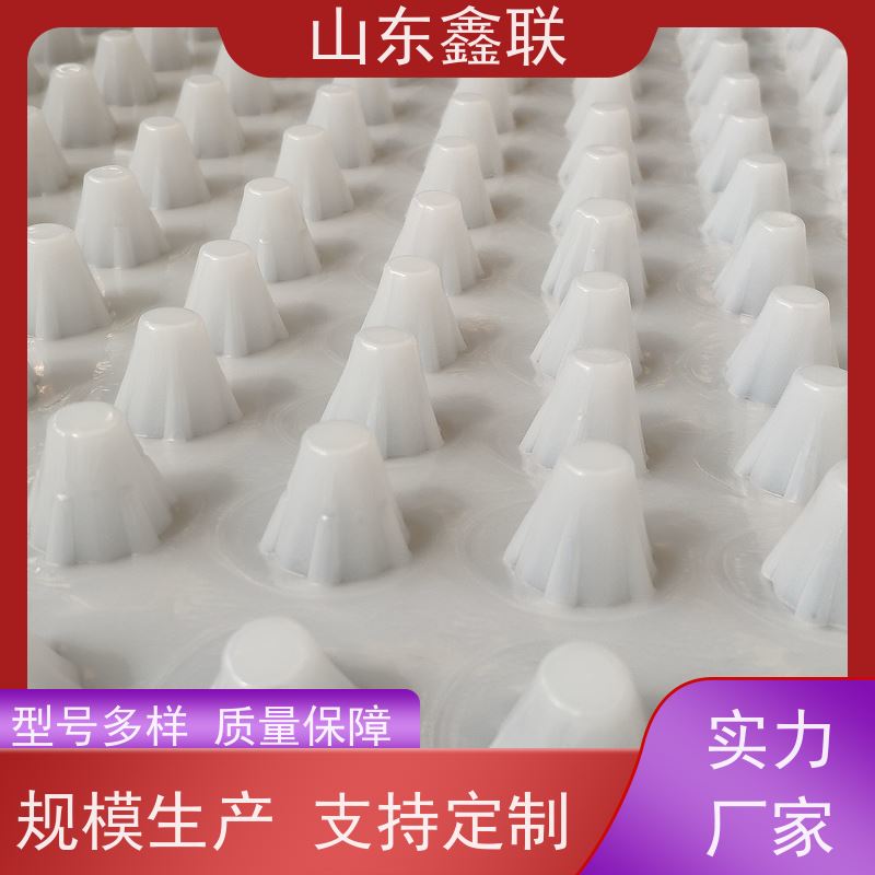 昌 都排水板凸壳式 地下室顶板疏水板 蜂窝型塑料保水导水格片