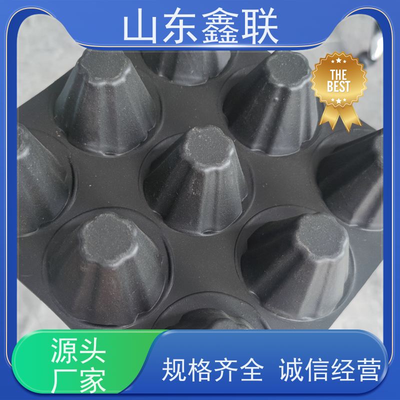 鑫联新 HDPE 50mm塑料蓄排水板 聚乙烯H30排疏蓄水板