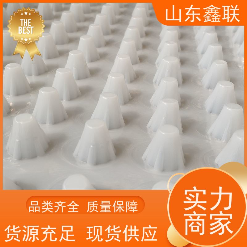 金 华顶板高密度聚乙烯阻根耐穿刺排水板 建筑塑料夹层板 鑫联新新