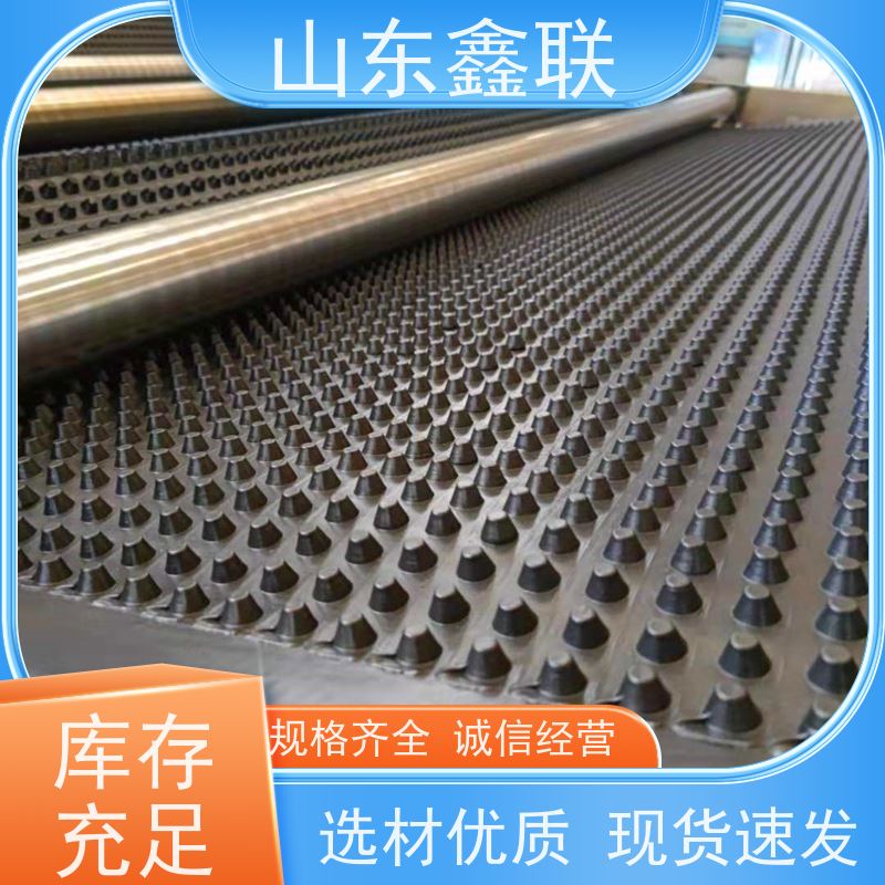 蜂窝型塑料鑫联新厂家 屋顶花园疏水板 抗压强度高 打包带