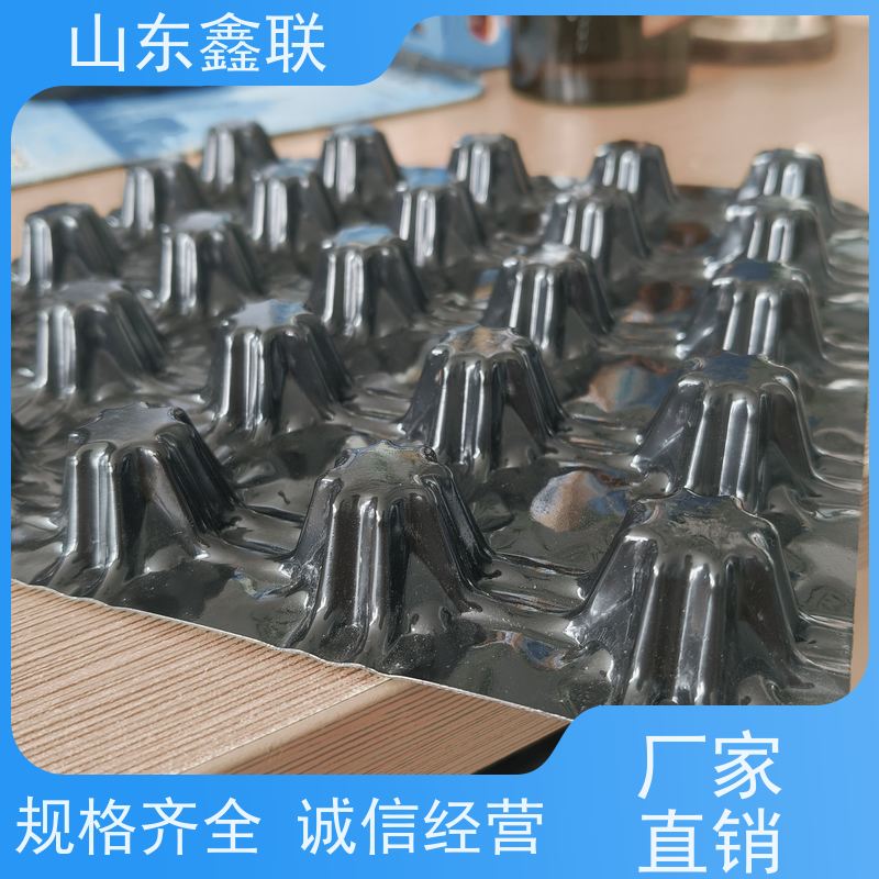 高分子聚乙烯衬板 PE耐磨车厢滑板 高密度HDPE排水板 规格齐全