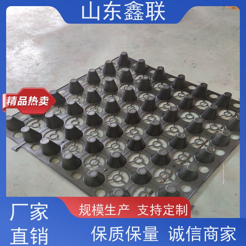 塑料排水板 建筑工程HDPE滤水板，车库疏水板 凹凸型鑫联新