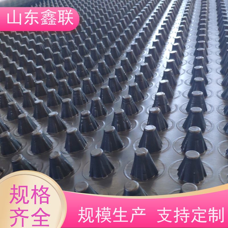 20高塑料排水凸片 抗压强 成本低 耐腐蚀 抗老化