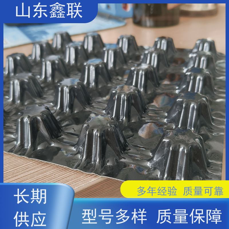 50cm宽塑料排水板片材 黑色凹凸型疏水板 当地厂家货源