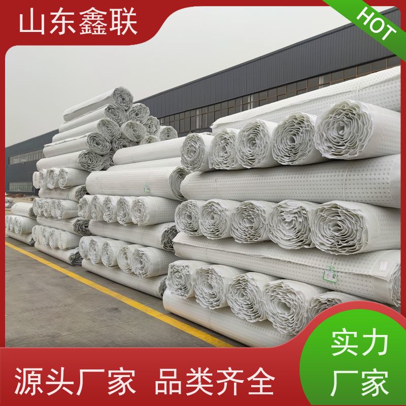 HDPE塑料排蓄水板厂家车库顶板底板用疏水板排水板 鑫联新新定制